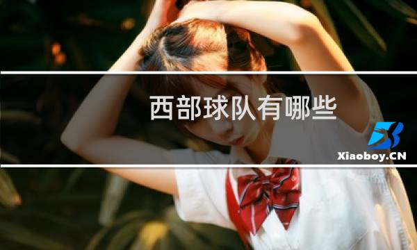 西部球队有哪些图片