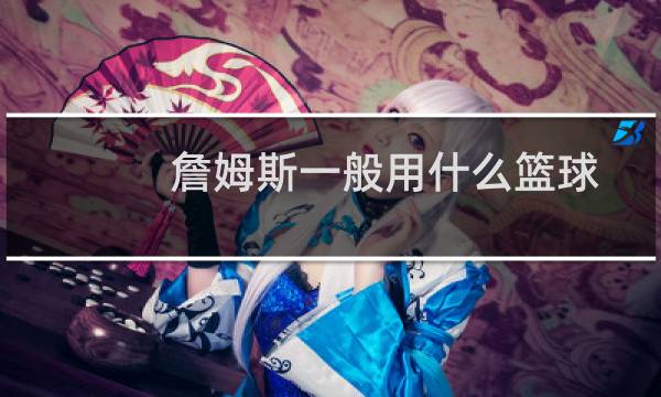 詹姆斯一般用什么篮球图片