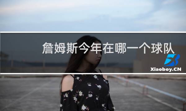詹姆斯今年在哪一个球队图片