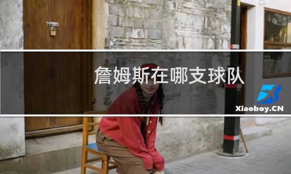 詹姆斯在哪支球队图片