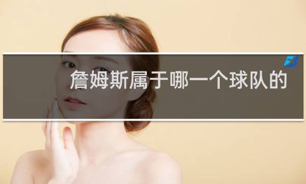詹姆斯属于哪一个球队的图片