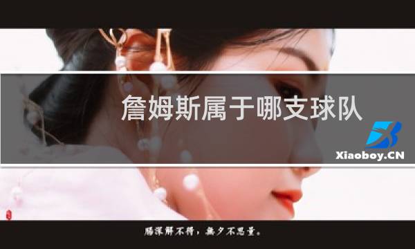 詹姆斯属于哪支球队图片