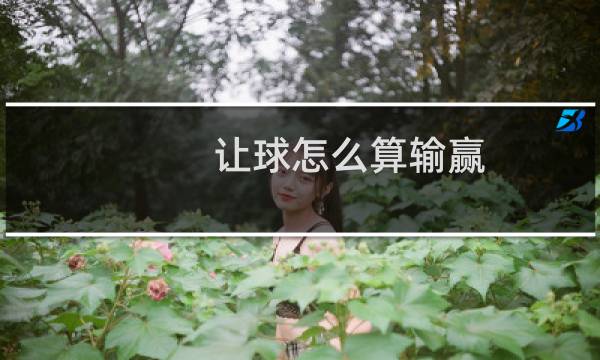 让球怎么算输赢图片