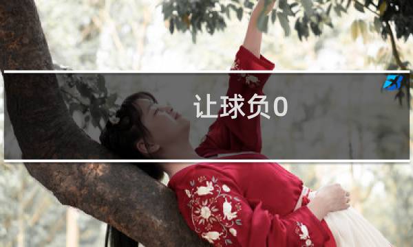 让球负0.5是什么意思图片