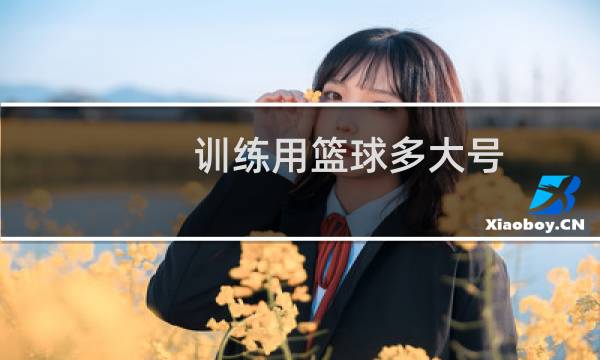 训练用篮球多大号图片