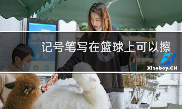 记号笔写在篮球上可以擦掉吗图片