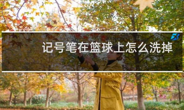 记号笔在篮球上怎么洗掉图片