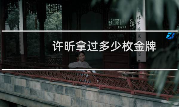 许昕拿过多少枚金牌图片