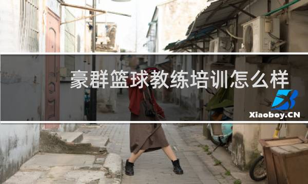 豪群篮球教练培训怎么样图片