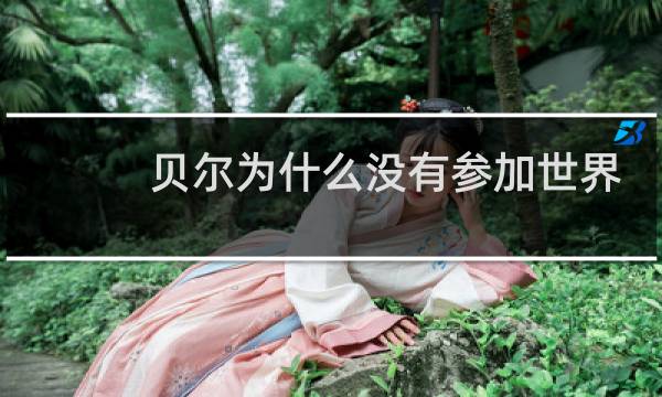 贝尔为什么没有参加世界杯图片
