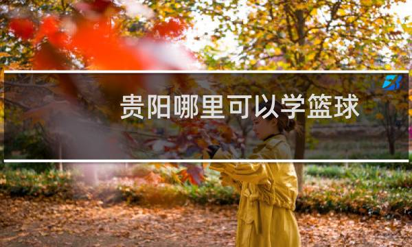 贵阳哪里可以学篮球图片
