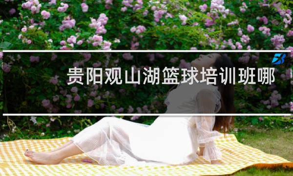 贵阳观山湖篮球培训班哪里好图片
