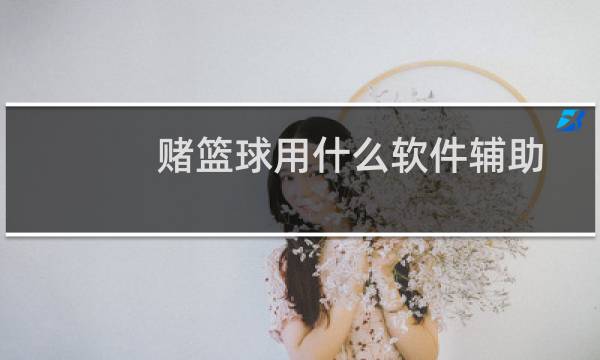 赌篮球用什么软件辅助图片