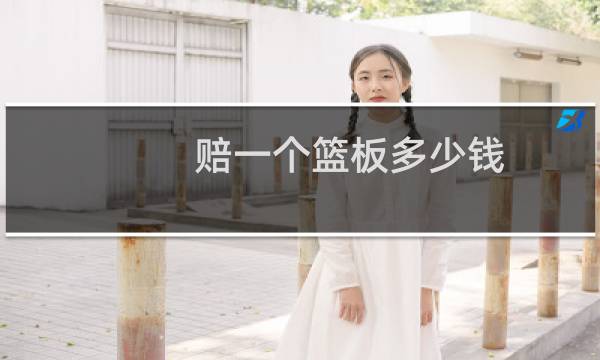 赔一个篮板多少钱图片