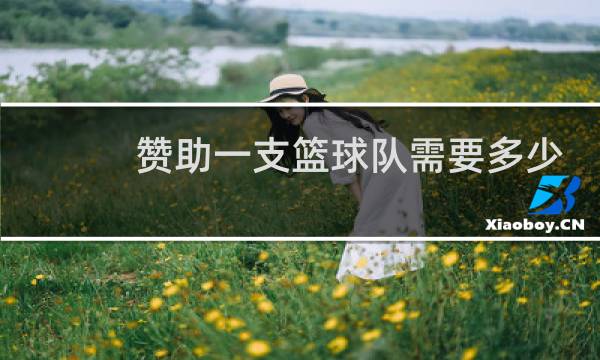 赞助一支篮球队需要多少钱图片