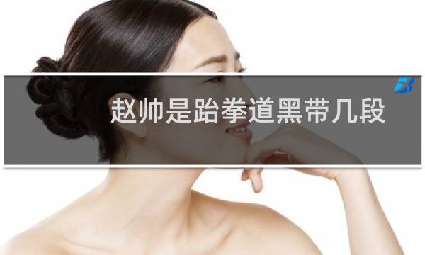 赵帅是跆拳道黑带几段图片