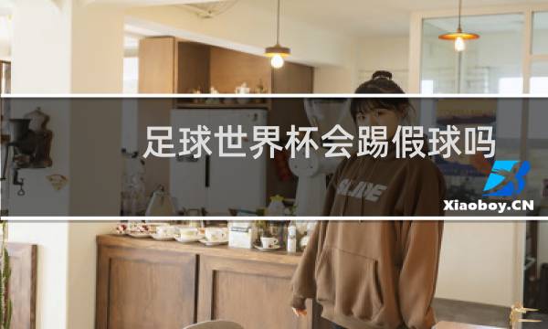 足球世界杯会踢假球吗图片