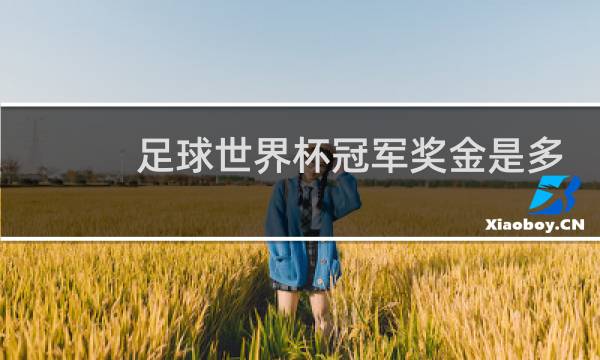 足球世界杯冠军奖金是多少图片
