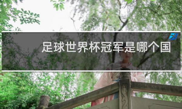 足球世界杯冠军是哪个国家的图片
