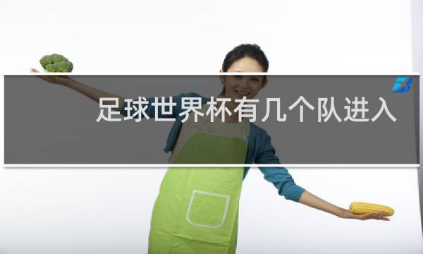 足球世界杯有几个队进入总决赛分几个阶段进行图片