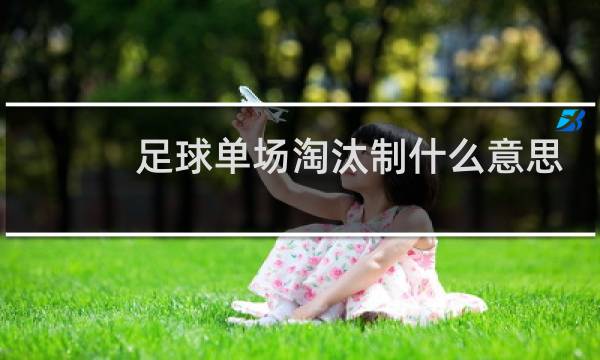 足球单场淘汰制什么意思图片