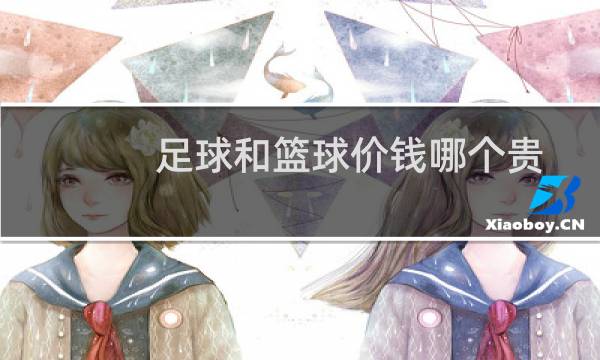 足球和篮球价钱哪个贵图片