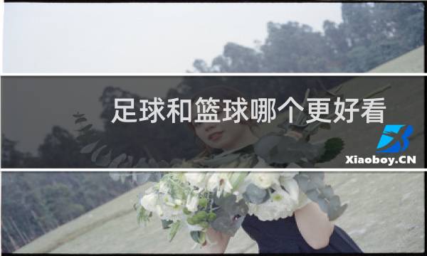 足球和篮球哪个更好看图片