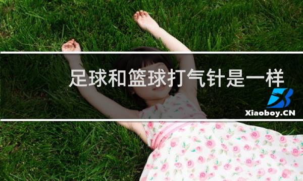足球和篮球打气针是一样的吗图片