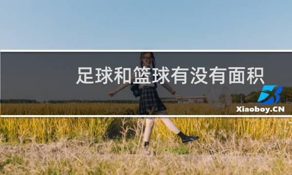 足球和篮球有没有面积图片