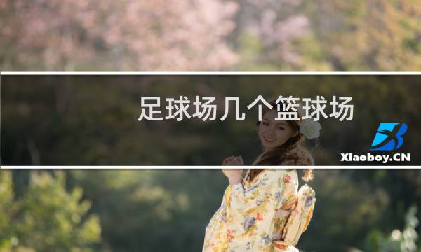 足球场几个篮球场图片