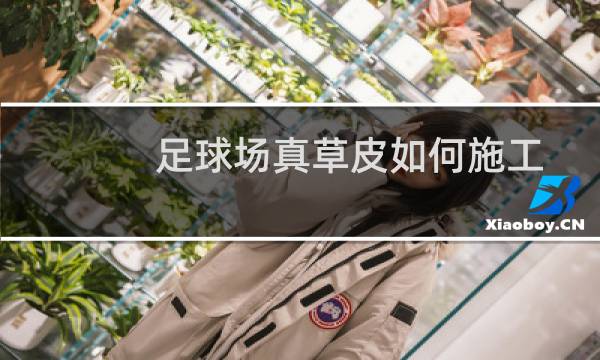 足球场真草皮如何施工图片