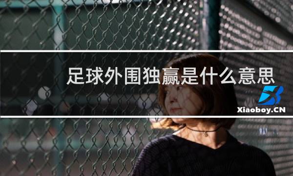 足球外围独赢是什么意思图片