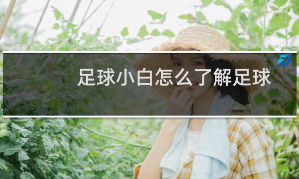 足球小白怎么了解足球图片