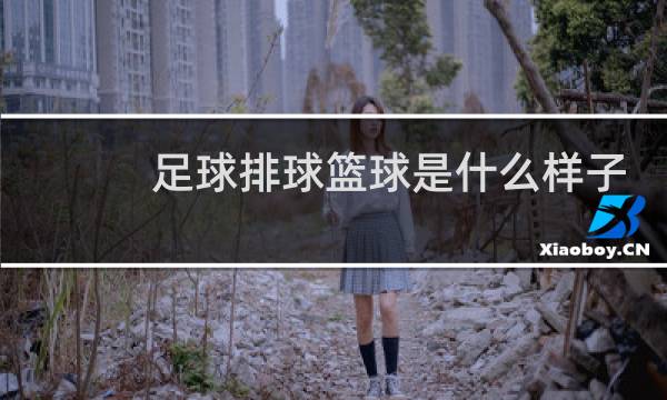 足球排球篮球是什么样子的图片