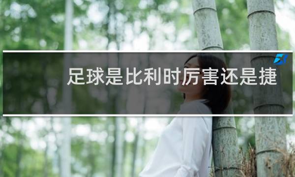 足球是比利时厉害还是捷克厉害图片