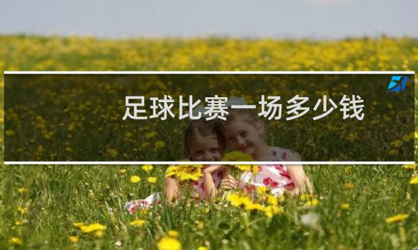 足球比赛一场多少钱图片