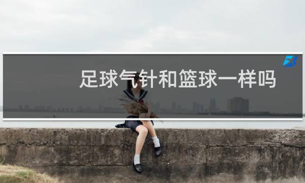 足球气针和篮球一样吗图片