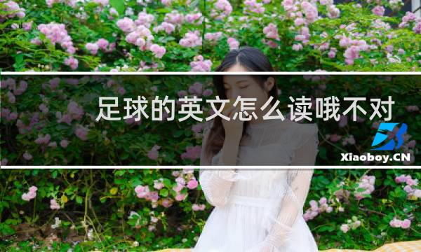 足球的英文怎么读哦不对图片