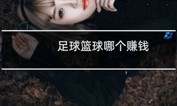 足球篮球哪个赚钱图片