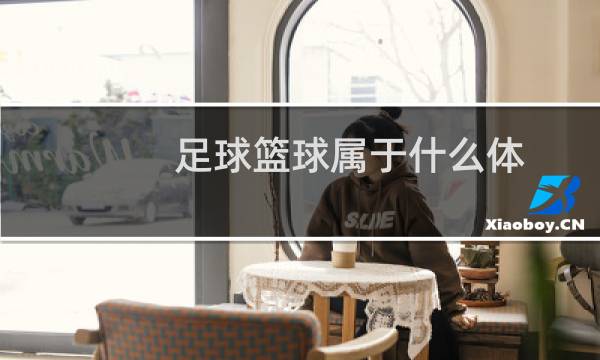 足球篮球属于什么体图片