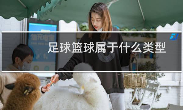 足球篮球属于什么类型图片