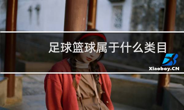 足球篮球属于什么类目图片
