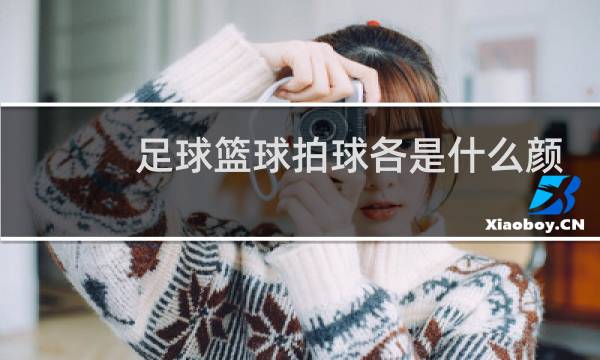 足球篮球拍球各是什么颜色的图片