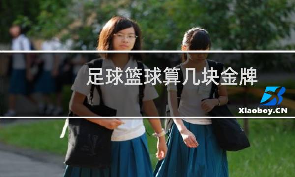 足球篮球算几块金牌图片
