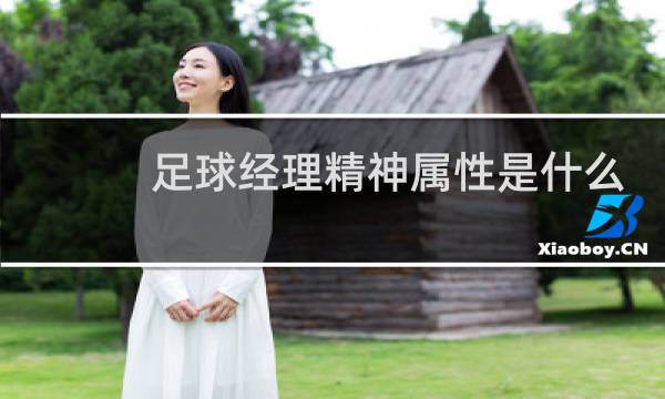 足球经理精神属性是什么图片