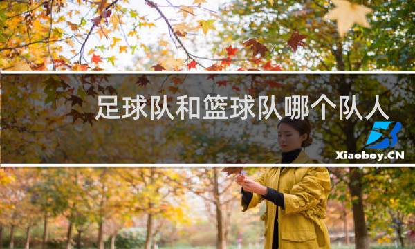 足球队和篮球队哪个队人多图片