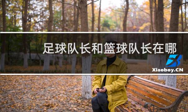 足球队长和篮球队长在哪里看图片