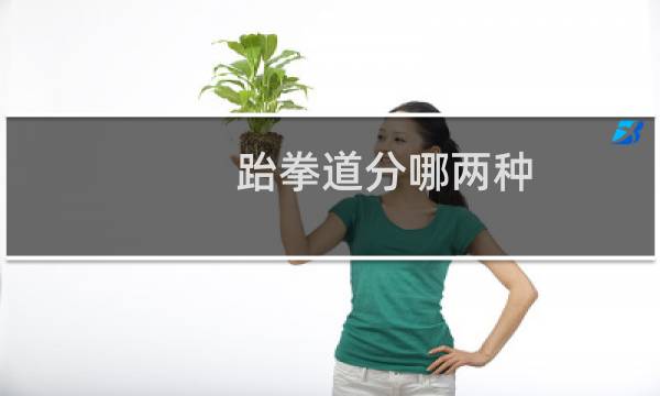 跆拳道分哪两种图片