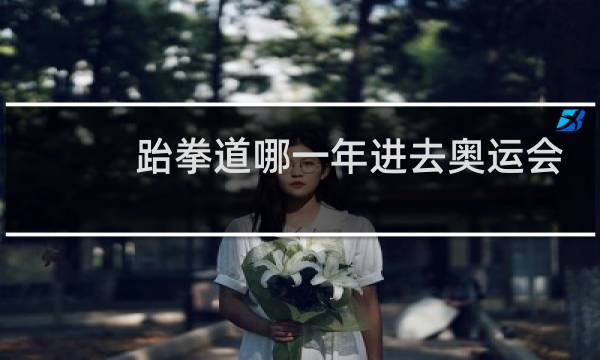 跆拳道哪一年进去奥运会图片