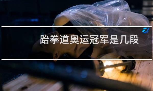 跆拳道奥运冠军是几段图片